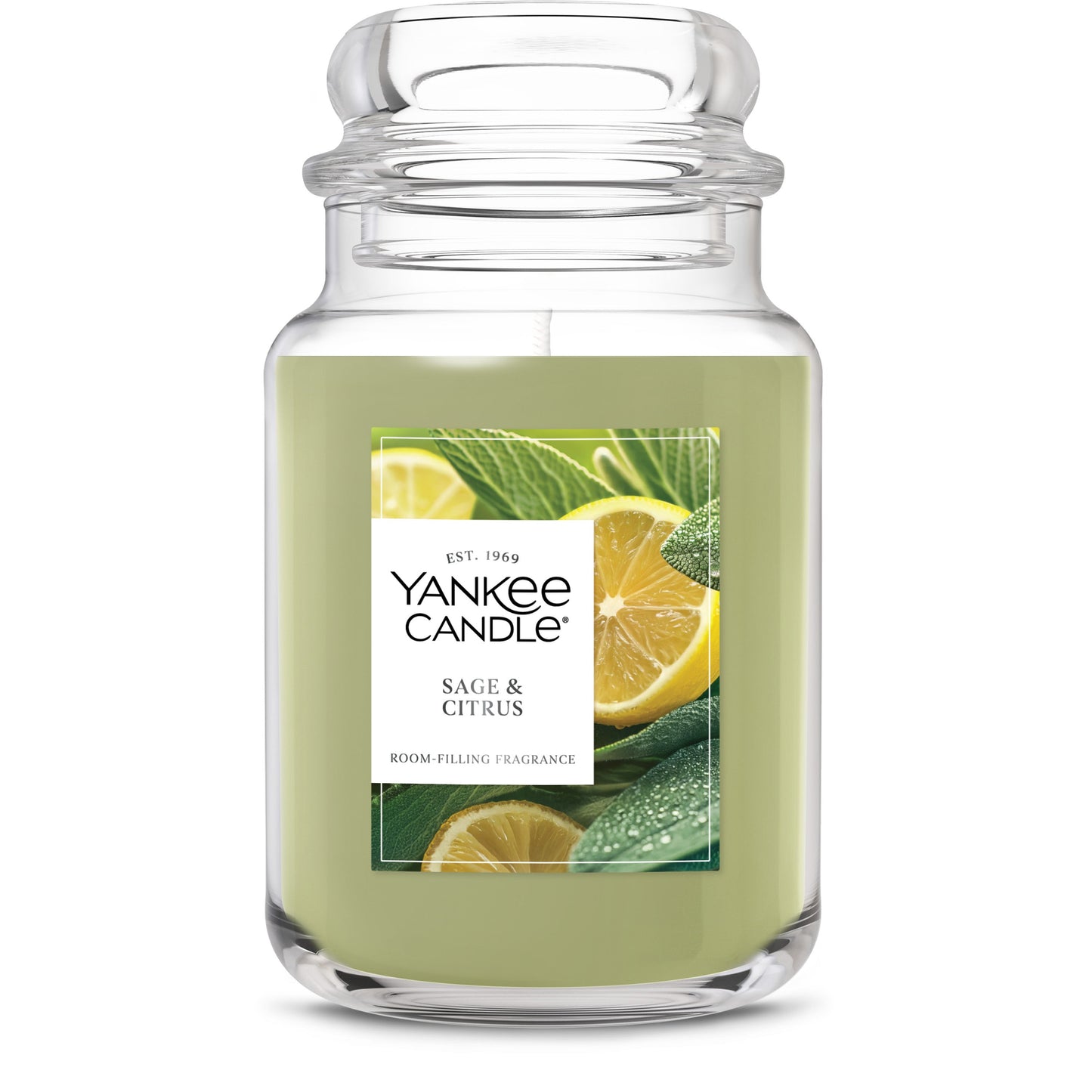 Sage & Citrus Studio 8-0788