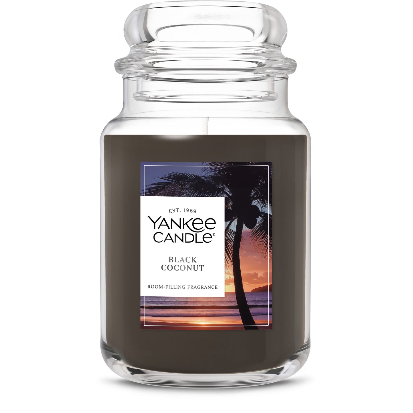Black Coconut Daily 8-0220