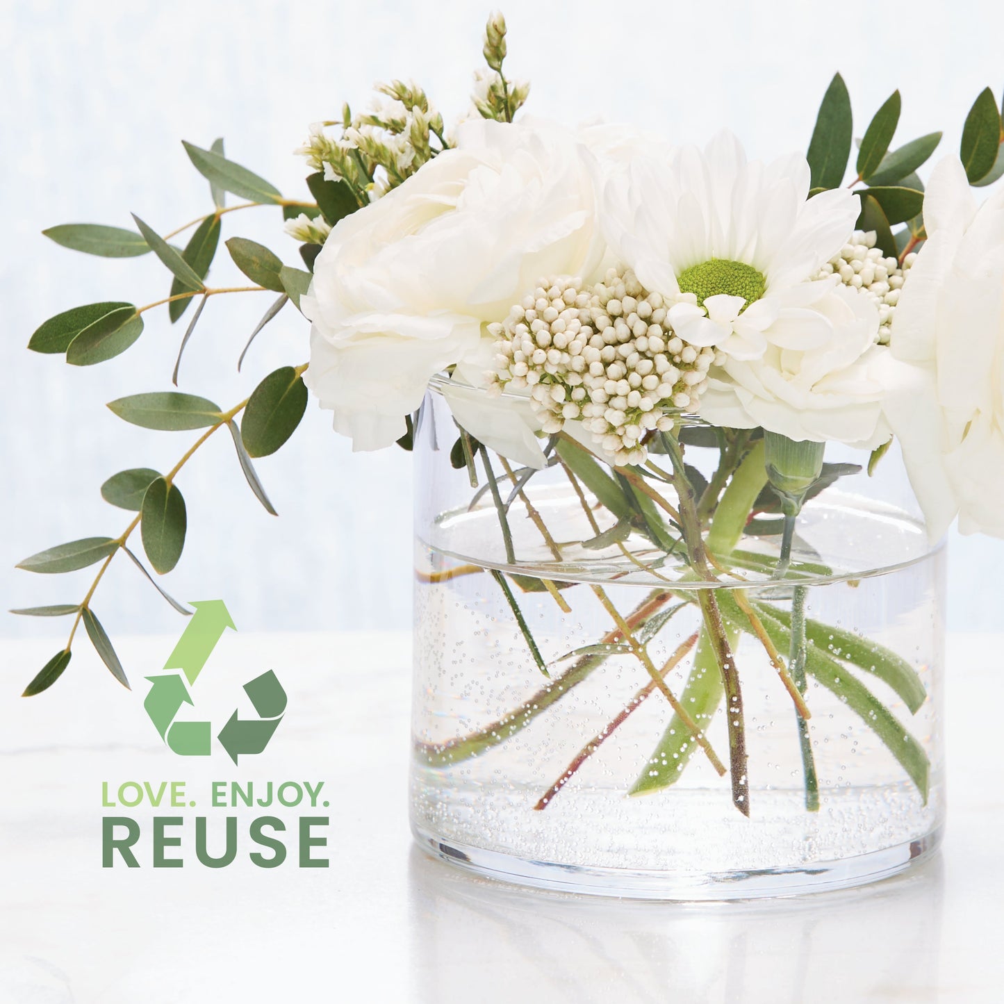 Canyon Pine