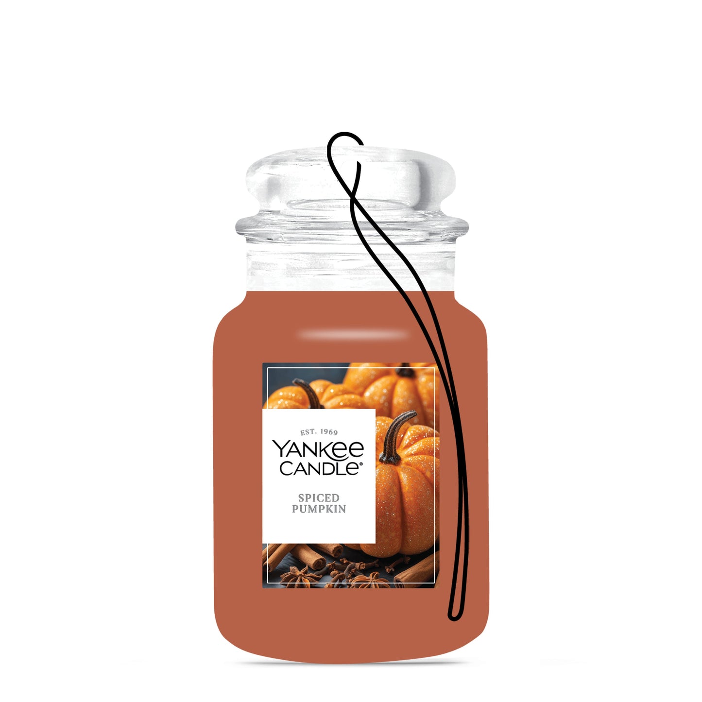 Spiced Pumpkin Daily 8-0280